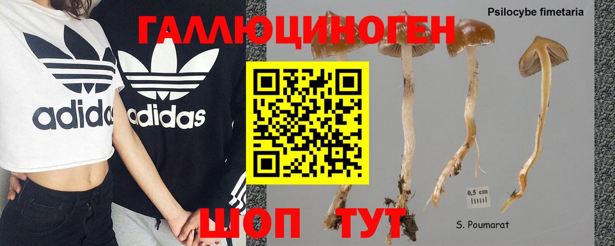 Псилоцибиновые грибы Psilocybe  Вход с VPN  Галлюциногенные грибы GOLDEN TEACHER  Кулебаки 